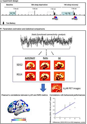 Associations between resting state brain activity and A1 adenosine receptor availability in the healthy brain: Effects of acute sleep deprivation